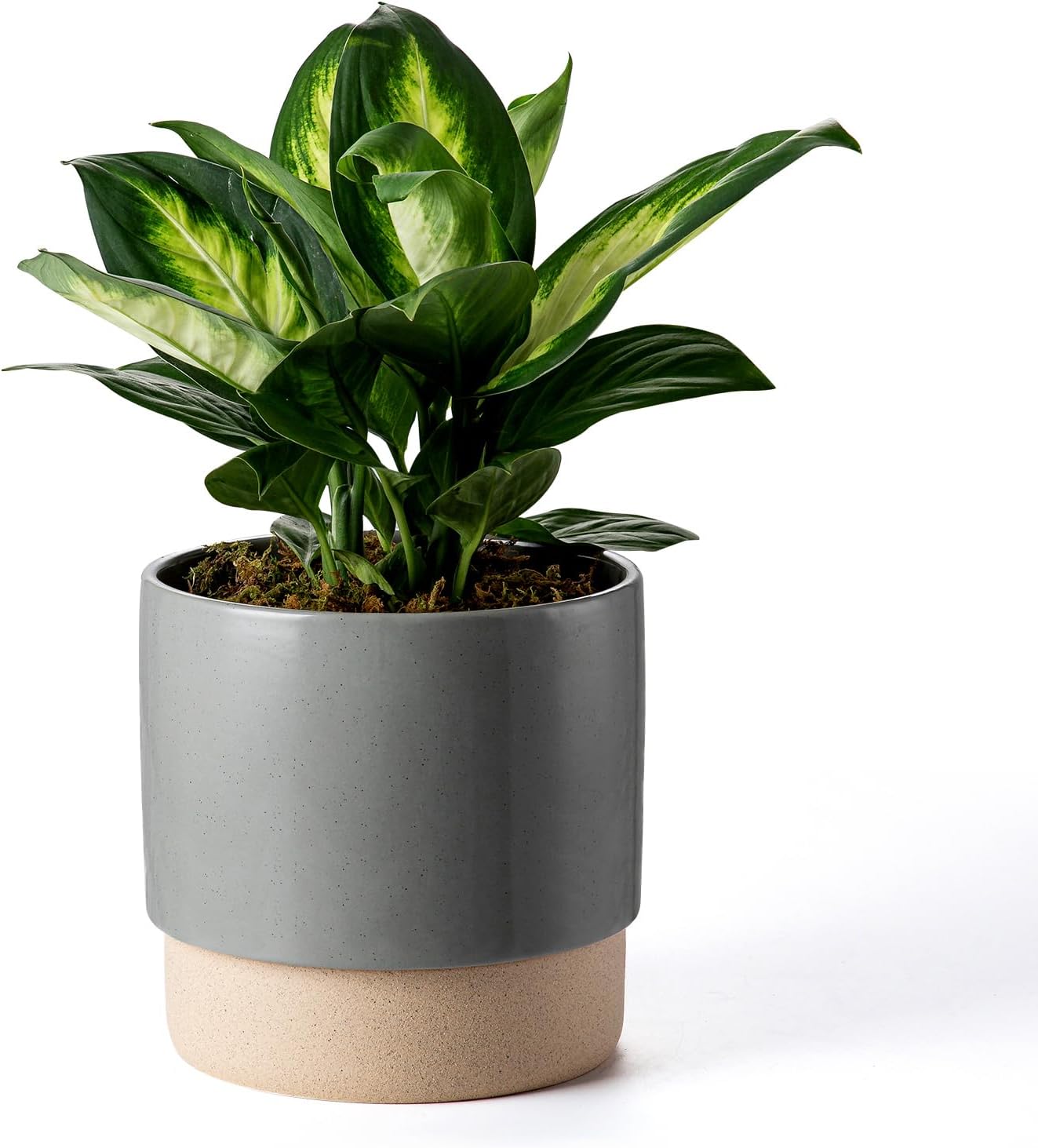 Self Watering Ceramic Planter: 8 Inch Plant Pot with Drainage Hole & Water Storage Plus for Outdoor & Indoor Plants, Succulents, Herbs - Flower Pot for Home or Office Decor - Dark Grey
