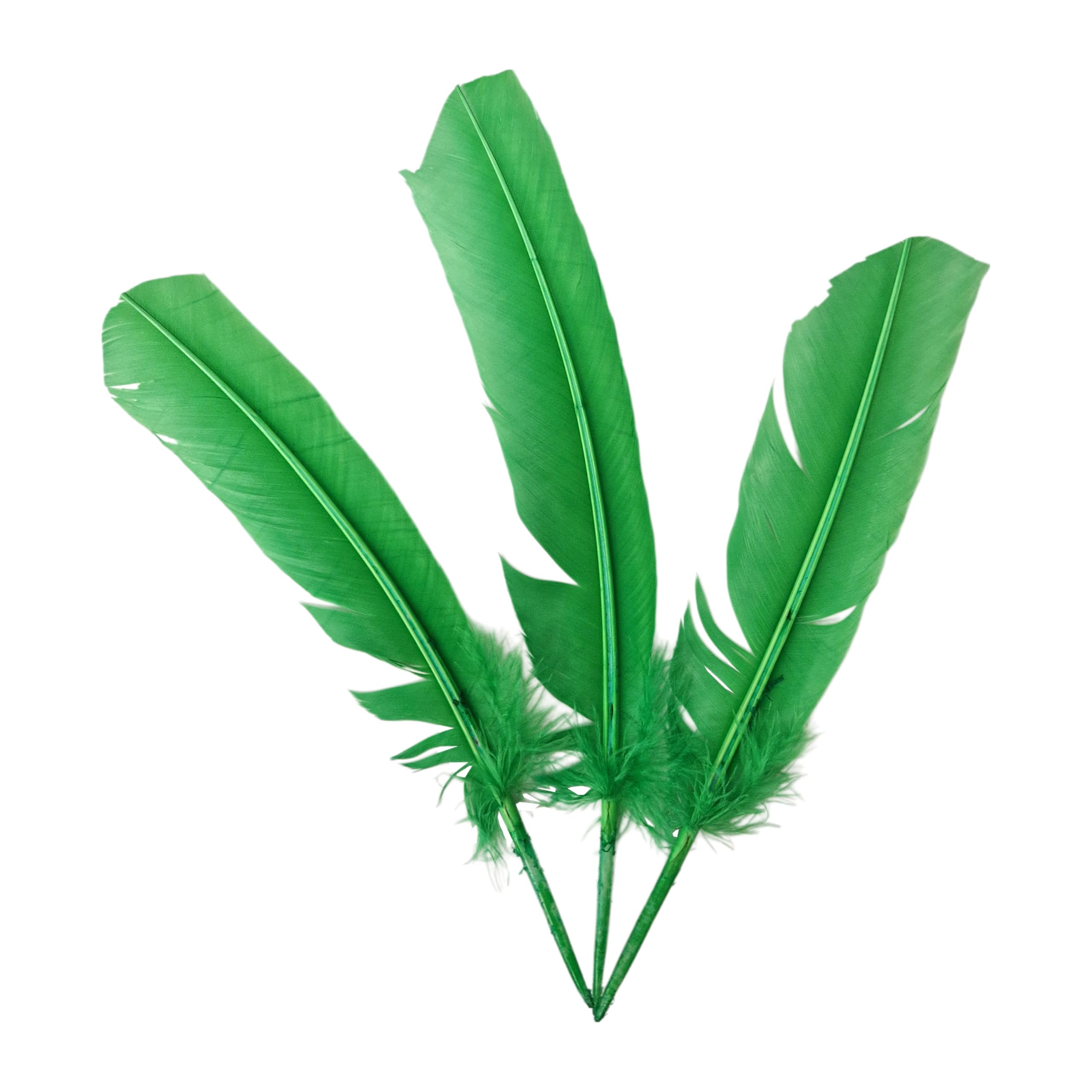 Turkey Feather Green, Pack of 3