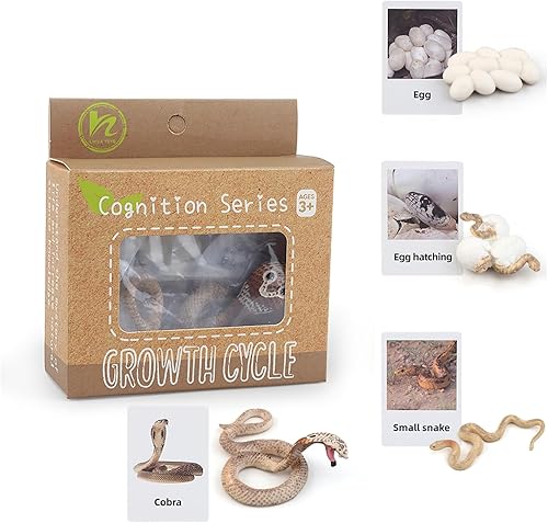 Montessori - Figuras de insectos de animales para el ciclo de vida, juguetes de aprendizaje y educación, juguetes de insectos de plástico para