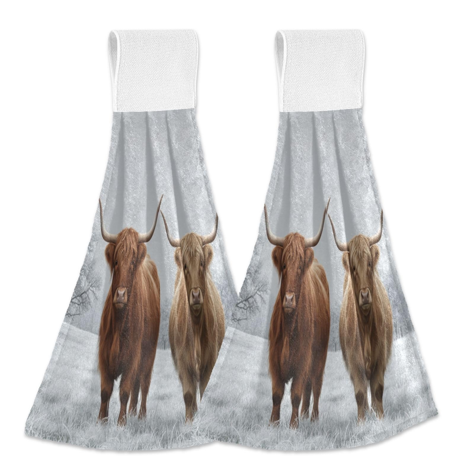 Asciugamano da cucina scozzese Highland Cow 2 pezzi super morbido assorbente Western Deco appeso asciugamani strofinaccio per bagno tè bar tavolo fattoria spiaggia
