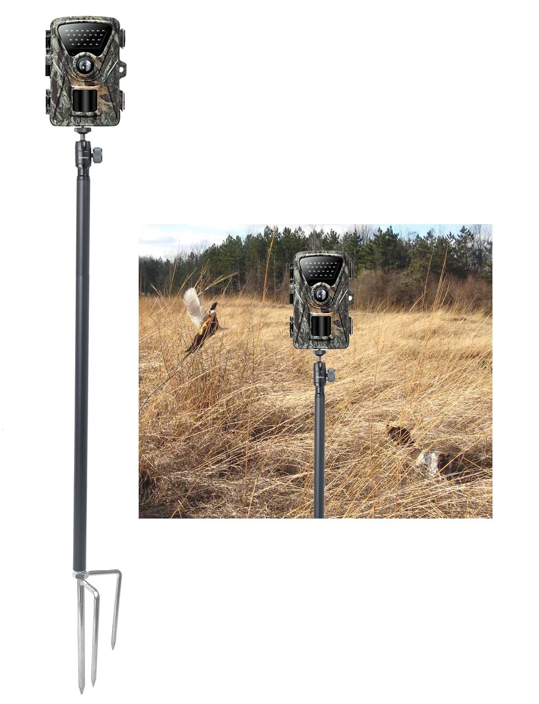 Fotoleey Trail Ground Stand with 1/4" Ball-Head Holder-picture-27