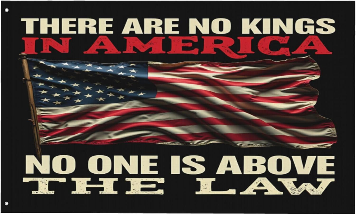 4x6 Feet No Kings in America Flag No One Is Above The Law Flags for Outside Double Sided 3-Ply Yard Signs Banner
