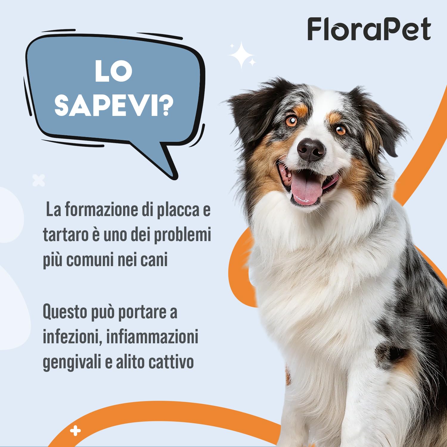 Pulizia Denti Cane in Polvere, Rimuovi Tartaro Denti, con Ascophyllum Nodosum e Pappa Reale, per Alito Cattivo e Igiene Orale, 150gr per Supporto alle Gengive e Alito Fresco
