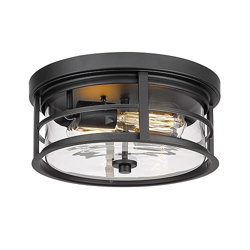 EAPUDUN Flush Mount Ceiling Light, 12inch 2-Light Metal Close to