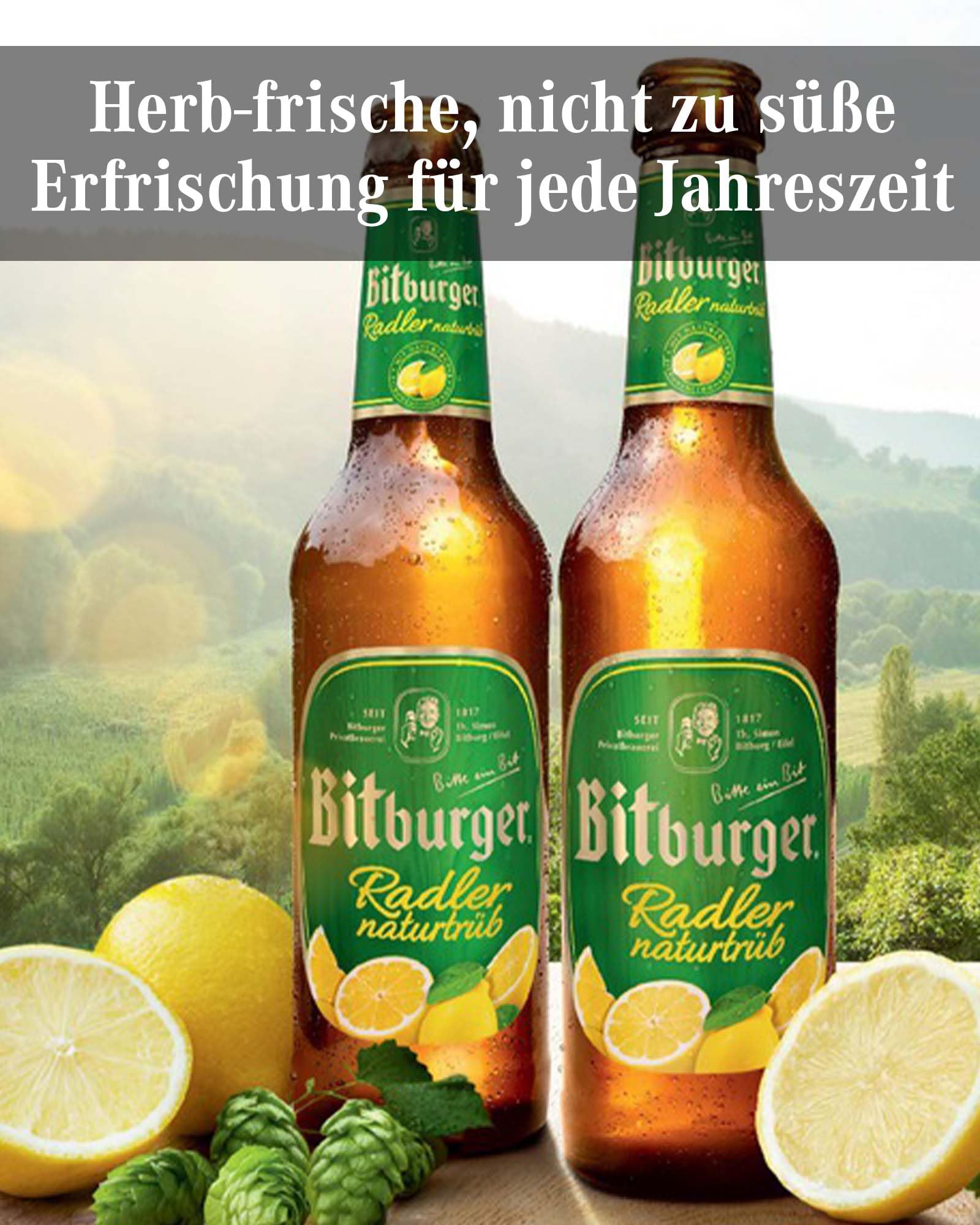 Bitburger Radler Naturtrüb - Dosen-Bier (24x 0,5l) - Biermischgetränk mit Zitronennote - Feinherb - Erfrischend & Vollmundig
