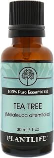 Plantlife Tea Tree Essential Oil, Pure, for Diffuser, Aromatherapy, 30 ml | Therapeutic grade, 100% pure essential oil, for diffuser, for skin, for massage, made in small batches,For home fragrance