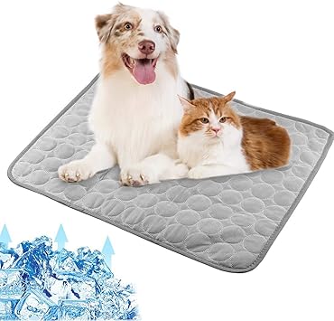 cat mat bed
