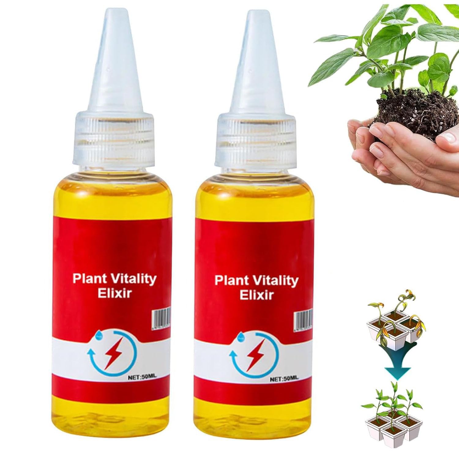 Amazon.com : Limetown Plant Vitality Elixir, Money Tree Fertilizer,  Limetown Phyto Vitamin Solution, Limetown Plant Fertilizer, 50ml, Plant and  Flower Liquid Solution (2 Pcs) : Patio, Lawn & Garden