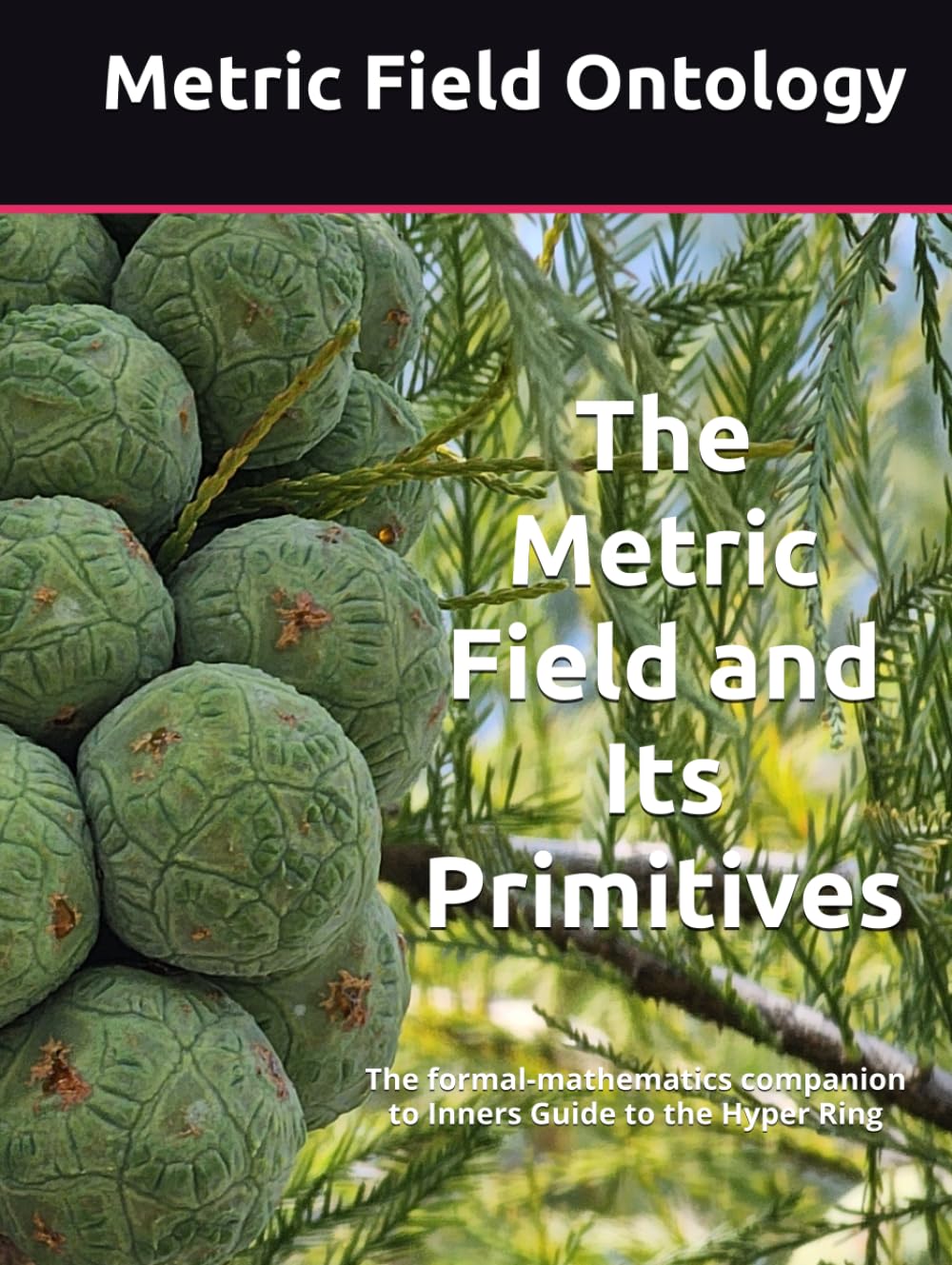 The Metric Field and Its Primitives: The formal-mathematics companion to Inners Guide to the Hyper Ring (Metric Field Ontology)