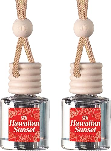 Miniatura 21 de CANDECraftCo - Aceite de fragancia colgante de aire para automóvil, ambientador automático para aceites esenciales, fragancia, aromaterapia, difusor
