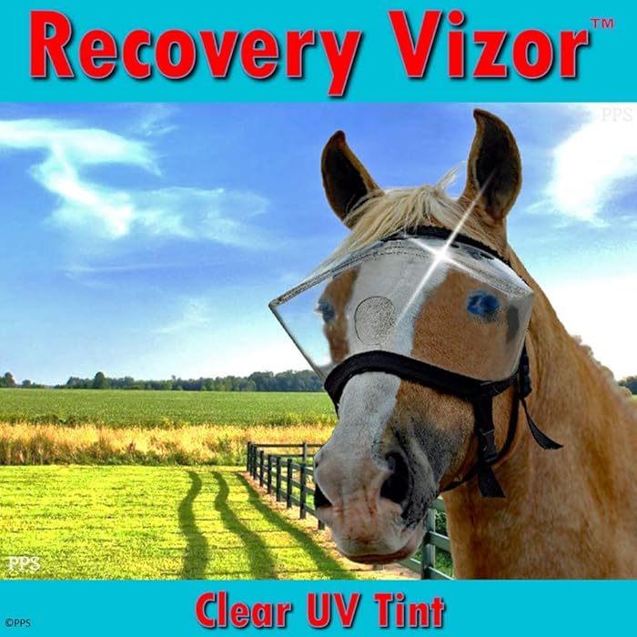 Buy Horse Medical and Preventative Clear UV Recovery Vizor (Size Horse