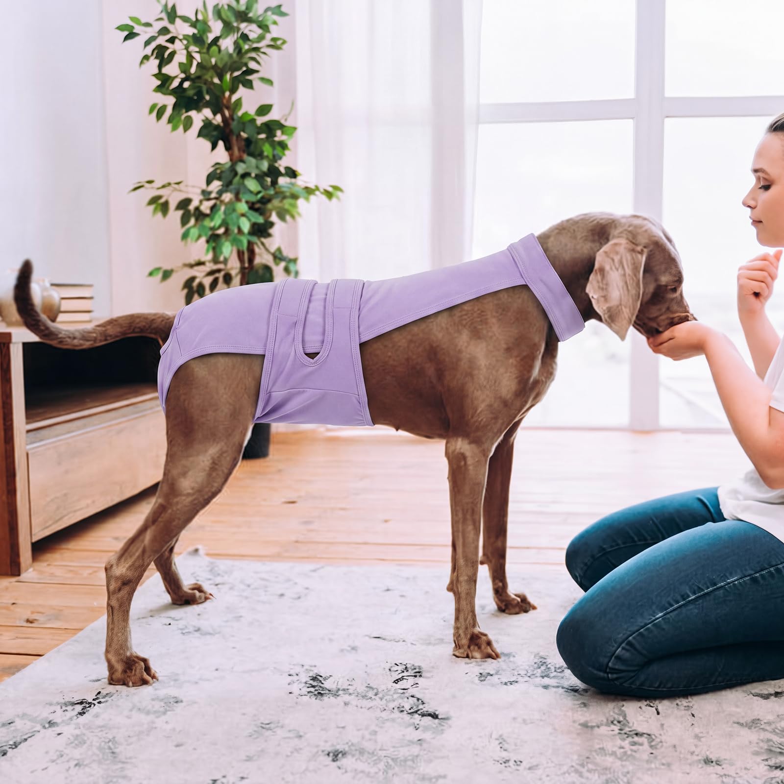Pañales para perras, reutilizables, lavables, con tirantes, ajustables, antiacoso, para incontinencia, ciclos de calor o perros mayores (XS-XL)