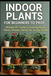 Indoor Indoor Plants DIY Guide