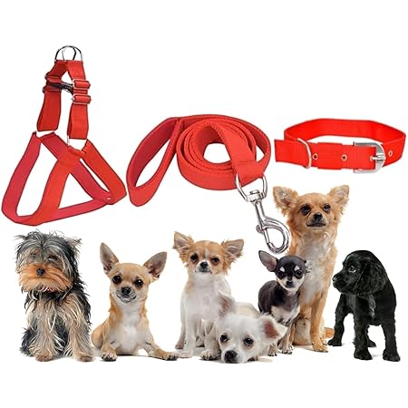 collar harness combo