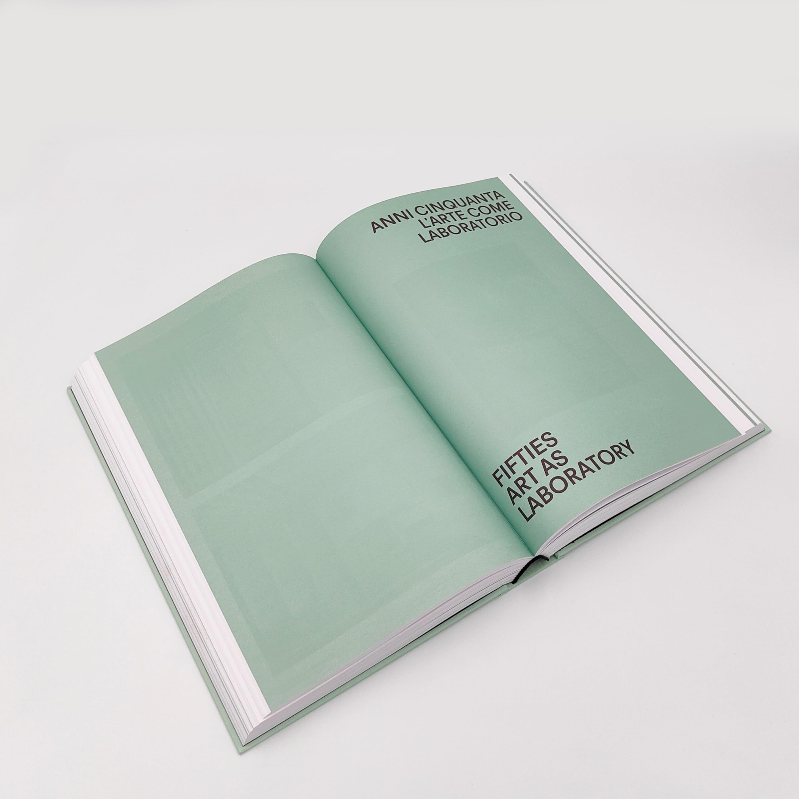 Nelle case. Milan interiors 1928-1978. Ediz. italiana e inglese