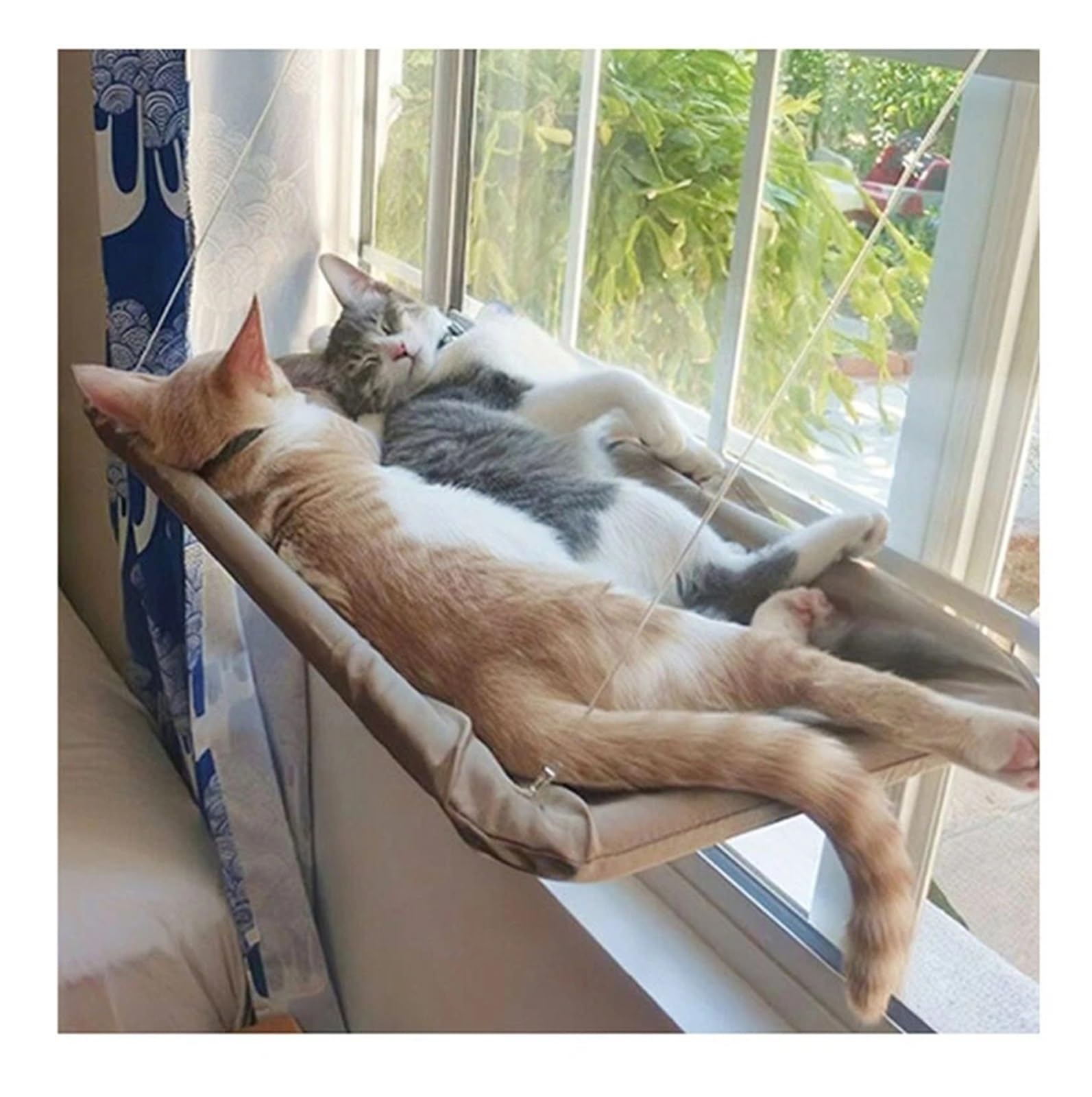 Haustier Katze Hängematte Hängen Bett Lager 20Kg Bequeme Sunny Fenster Sitz Halterung Kätzchen Klettergerüst Zubehör Stabil Komfortabel(Black)