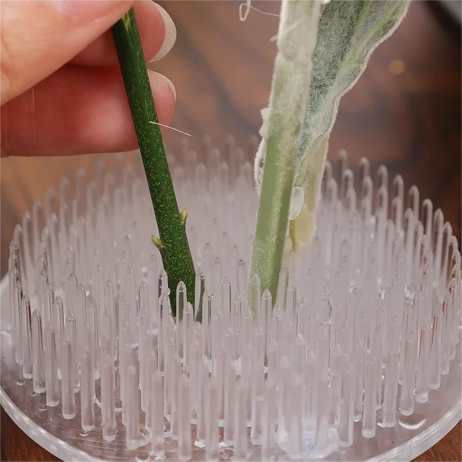 Flower Frogs 10 Pcs Transparent Ikebana Stem Holder Round Flower Arrangement DIY Fixing Bracket for Vases Floral Decor Pot