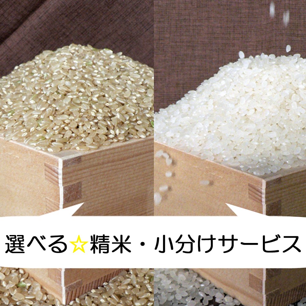 Amazon.co.jp: 米 ミルキークイーン ☆玄米20kg(10kg×2)＋白米9kg 三重