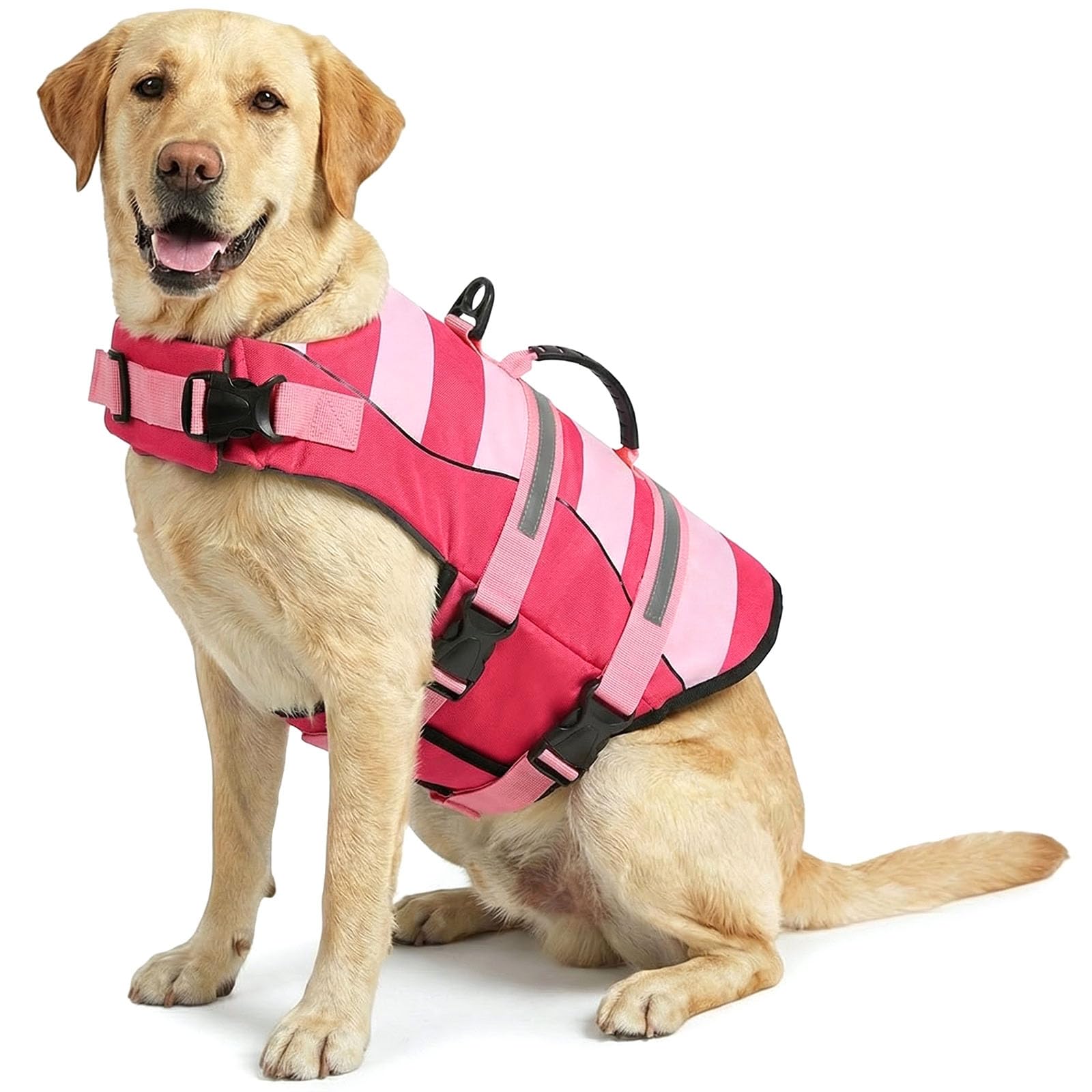 ASENKU Dog Life Jacket with Top Rescue Handle & Reflective Strips - Adjustable Buoyancy Control Vest for Small, Medium, Large Dogs - High Visibility Safety for Swimming, Boating, Kayaking and Beach — image 1