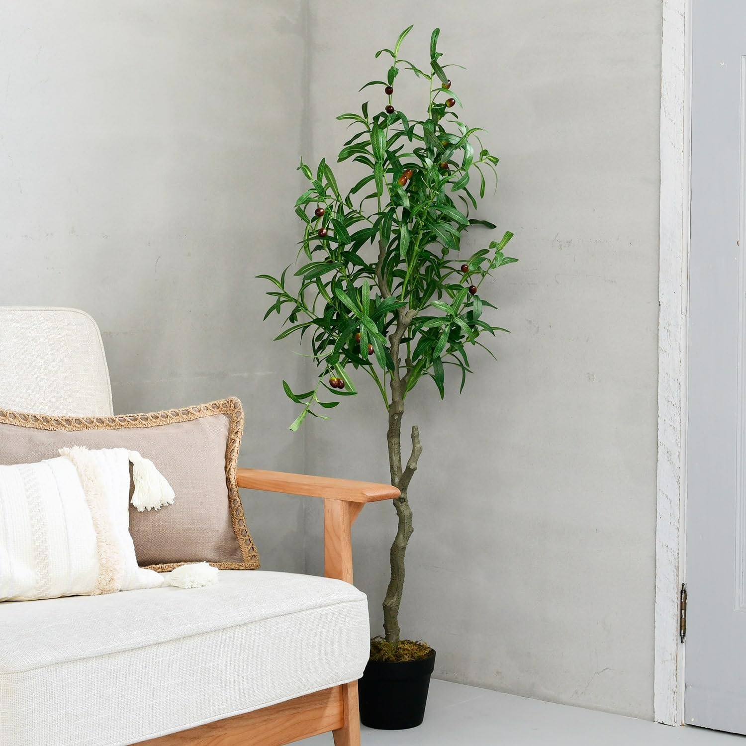 グリーンレーベルリラクシング カノニコ イタリア製生地 セットアップ