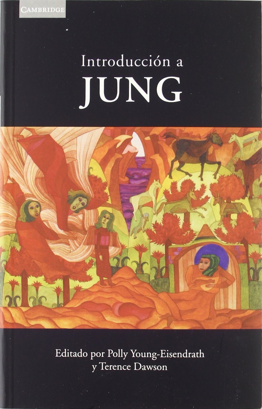 Introducción a Jung: 6 (Psicología / Filosofía)