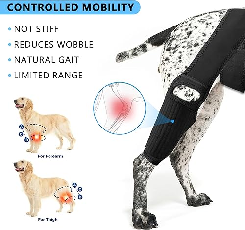 Miniatura 2 de Rodillera para perro para desgarro del ligamento cruzado anterior, soporte elástico, estabilizador de compresión ajustable, neopreno transpirable,