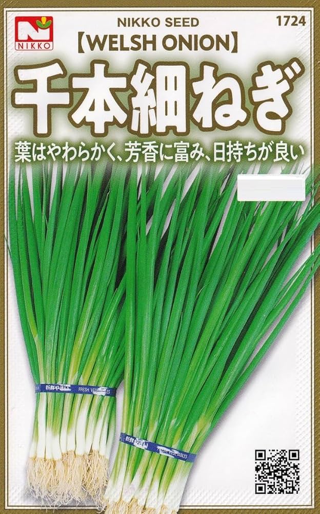 Amazon | 日光種苗 ネギ 千本細ねぎのタネ [1724] | 野菜