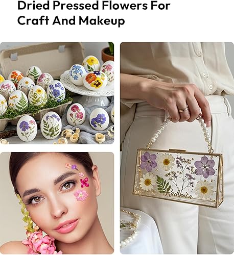 Vista 31 de Resiners - Flores secas, 100 piezas de flores prensadas para manualidades, color amarillo, flores secas naturales, kit de hojas secas