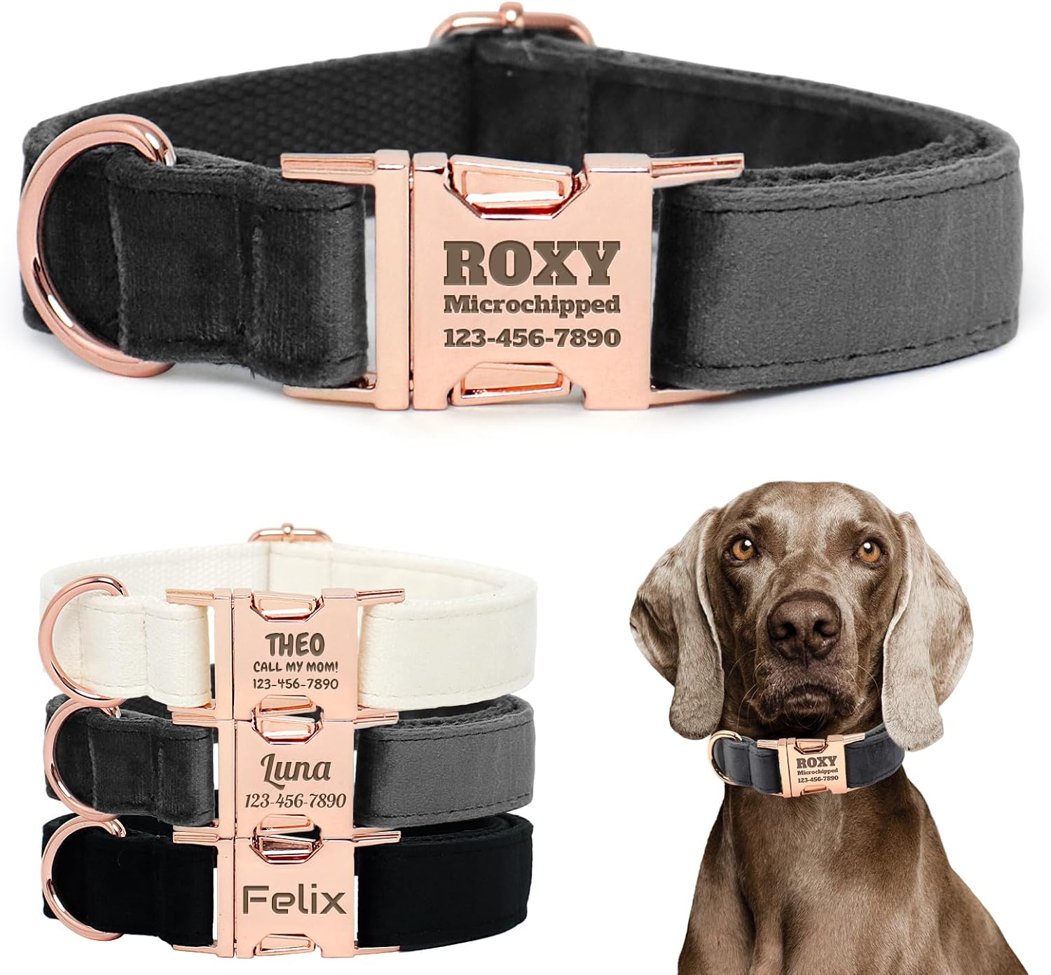 Personalized Velvet Dog Collar with Name - Custom Engraved Buckle, Adjustable Luxury Velvet Collar for Small Medium Large Dogs (Rosewater, M)