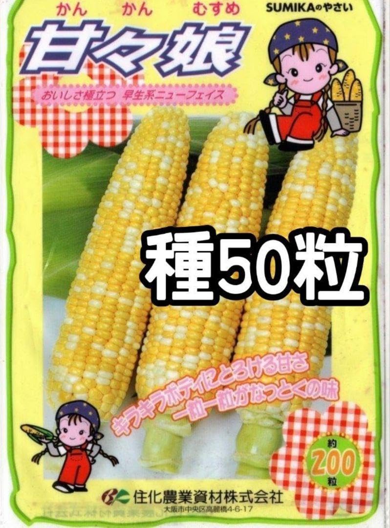 Amazon.co.jp: 50粒甘々娘 かんかんむすめ スイートコーン