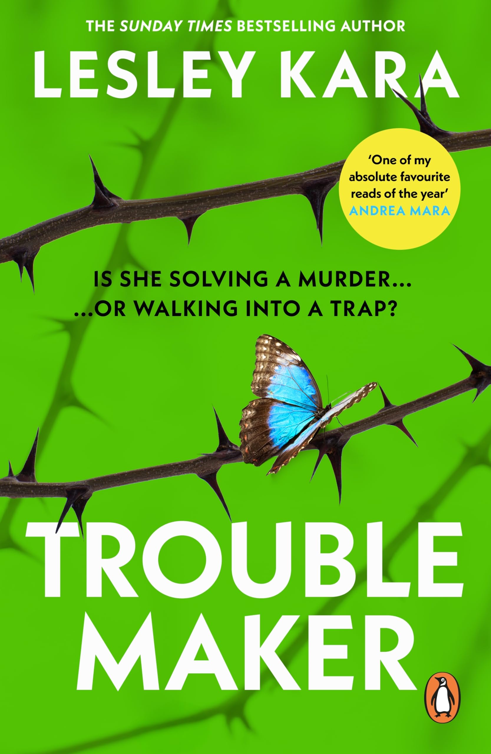Troublemaker: As heard on BBC Radio 4 Woman's Hour: Amazon.co.uk