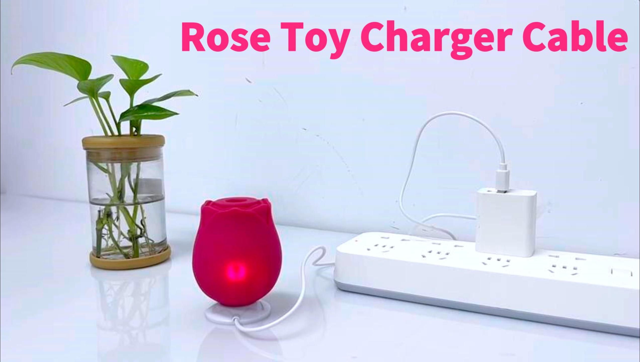 i lost my rose toy charger Light Pink Rose Toy – My Touch of Temptation main image 0