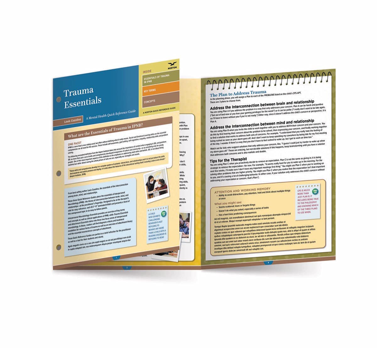 Trauma Essentials: A Mental Health Quick Reference Guide: A Mental Health Quick Reference Guide (A Norton Quick Reference Guide): 0 (Norton Series on Interpersonal Neurobiology)