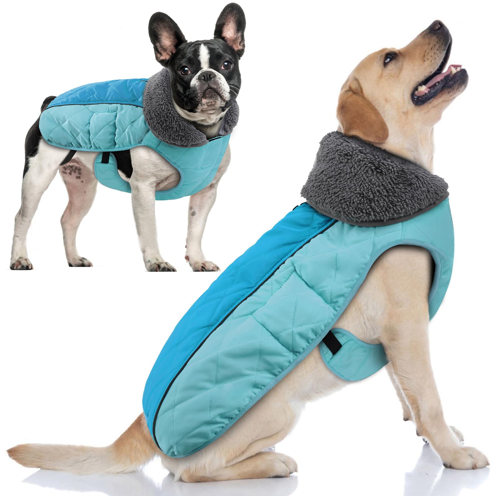 Doglay Chaqueta para perro, abrigo de invierno impermeable con cuello peludo grueso, forro reflectante, forro polar cálido, abrigo de nieve para perros pequeños a grandes