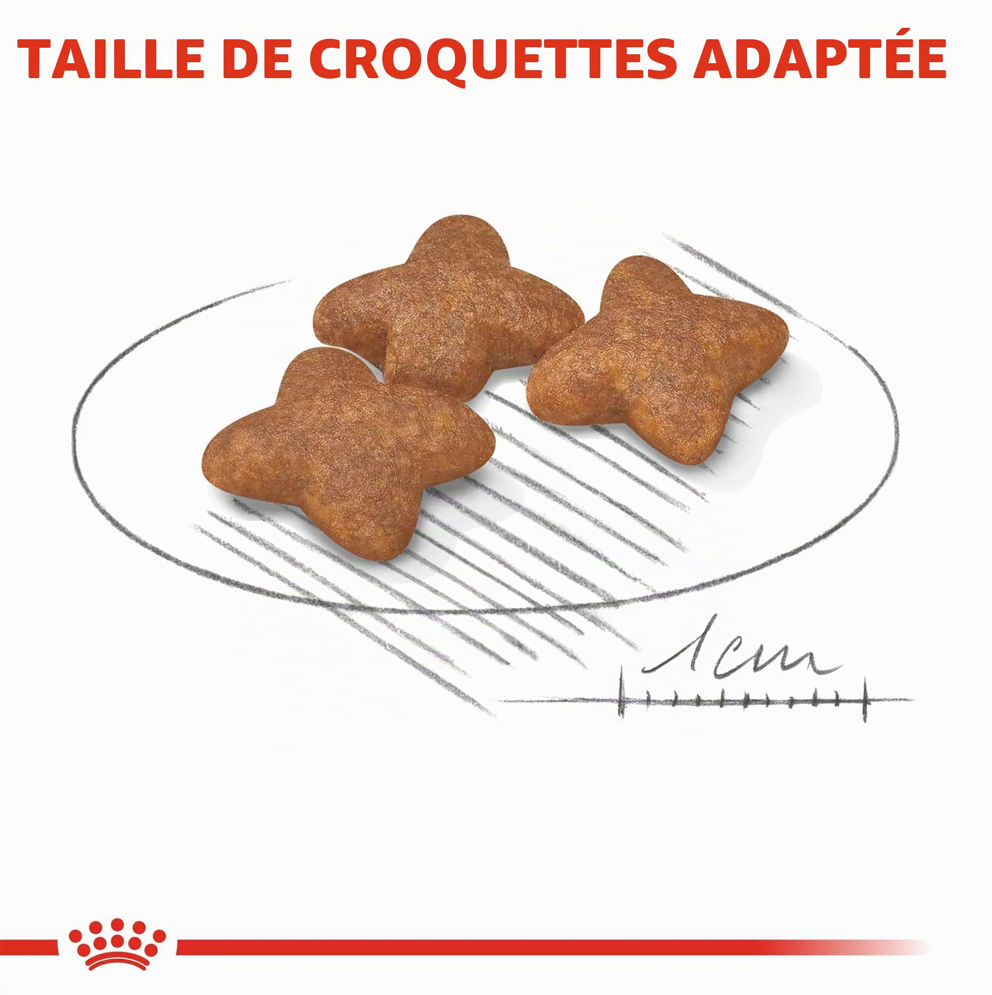 ROYAL CANIN - Croquettes Chien Royal Canin Mini Adulte : 8 kg
