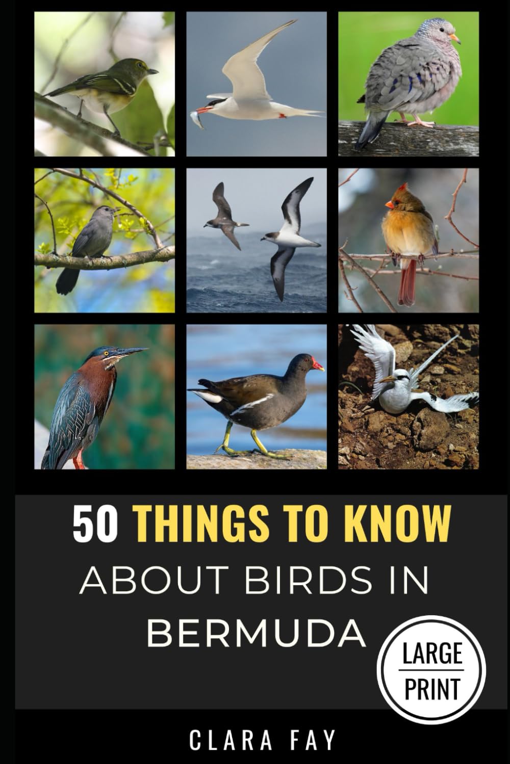 50 Things to Know About Birds in Bermuda Large Print: Birding in a Sub-tropical Paradise: 9 (50 Things to Know About Birds and Birdwatching: ... identification tips, and regional bird books)