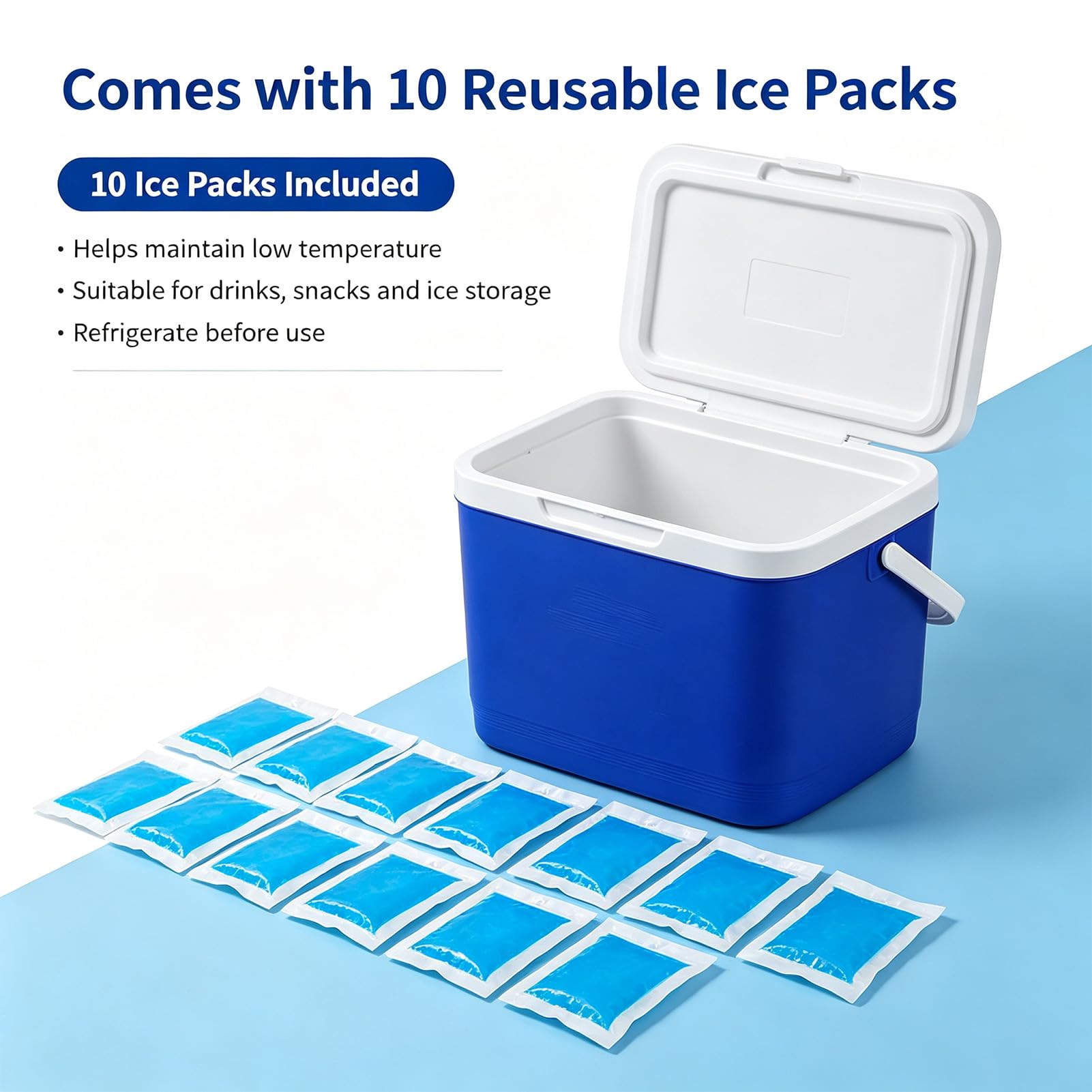 Borsa frigo da Campeggio Portatile da 25L, Contenitore per Catering con ghiacciaia e Manico