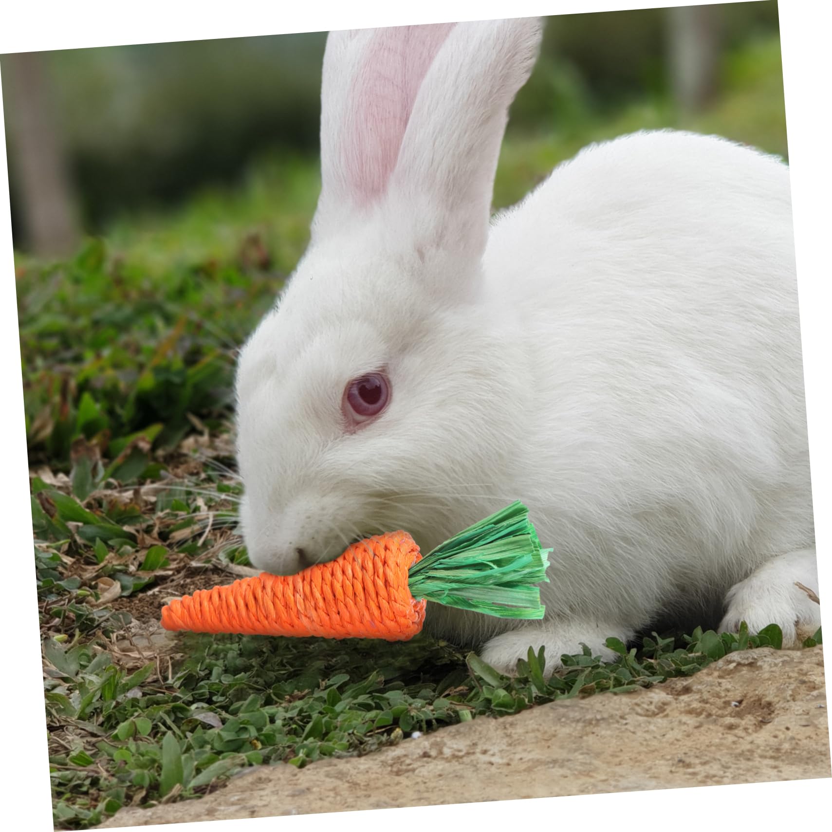 BESPORTBLE 30stücke Woven Radish Spielzeug Für Kleine Haustiere Kauspielzeug Für Kaninchen Hamster Und Meerschweinchen Fördert Molaraktivität Und Beschäftigung