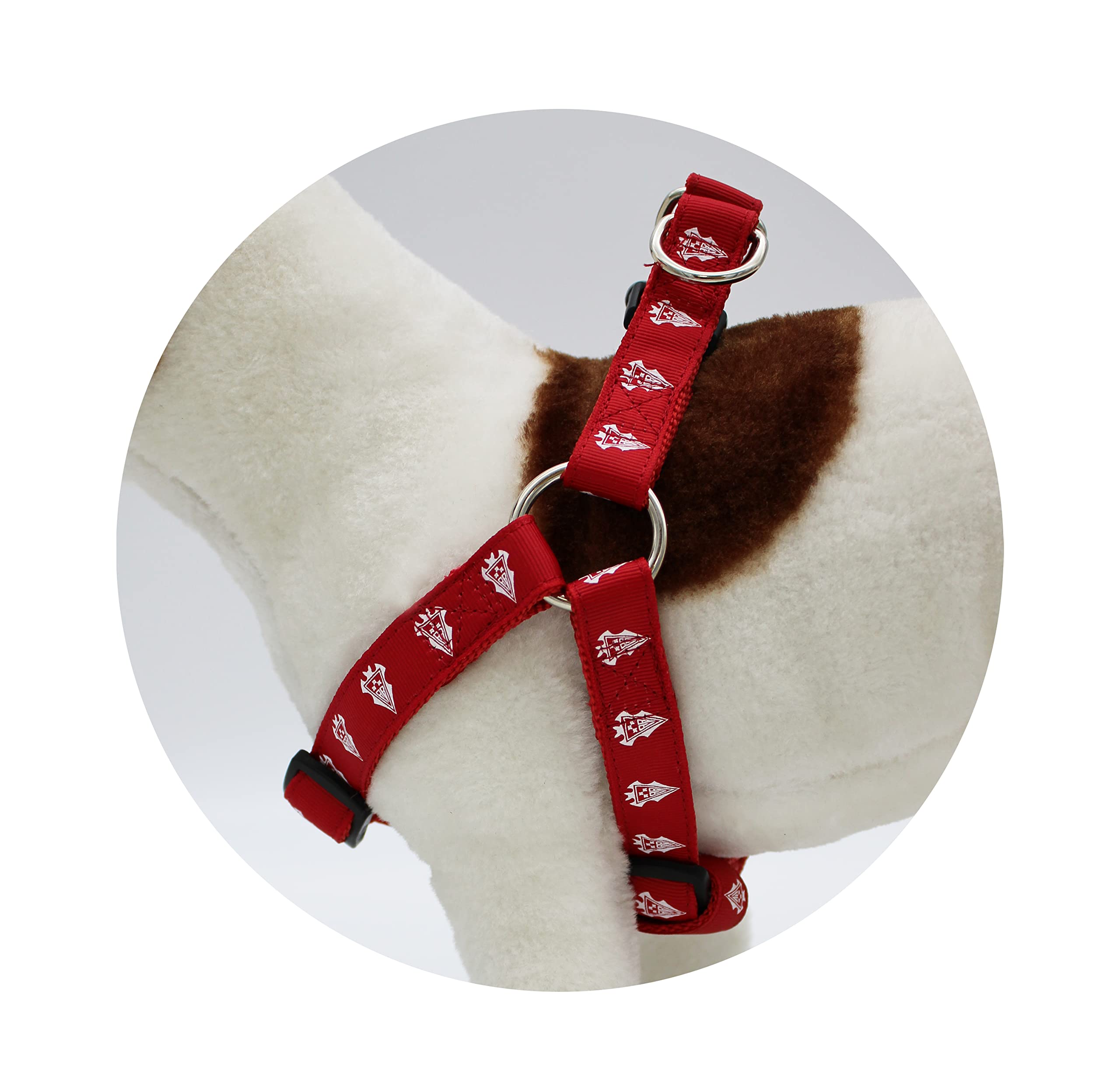 CYP Brands - Albacete Balompé - Dog Harness - Size M, red - Image 3