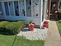 Review Image by YR YR