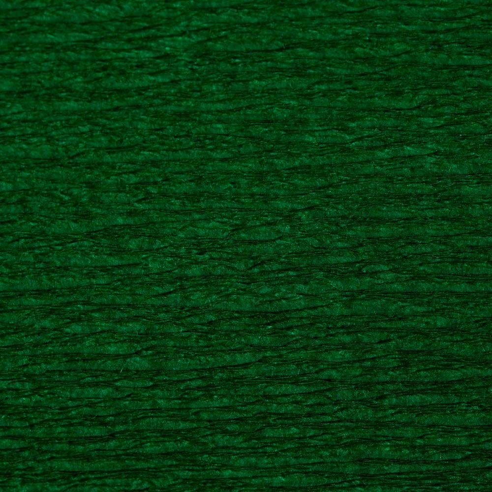 Clairefontaine 903074C, Pack of 10 Sheets of Crepe Paper, Colour Bottle Green - Image 2