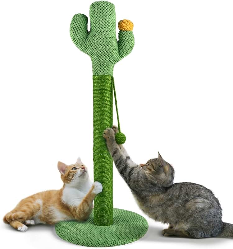 Cat Scratching Posts Amazon.co.uk