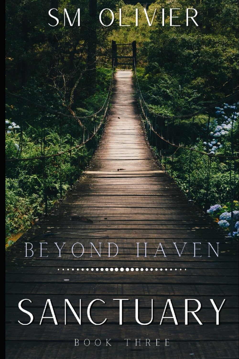 Sanctuary: Beyond Haven Book 3 (Sanctuary Series)