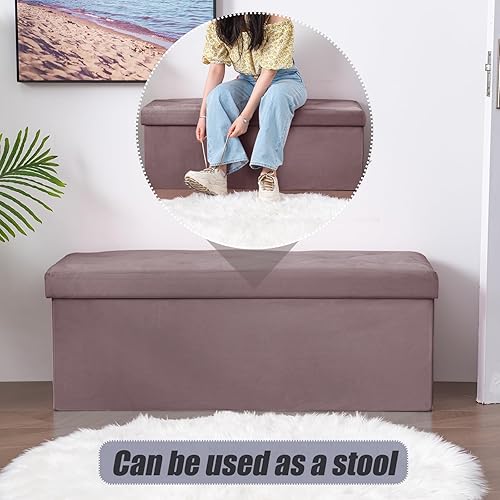 Miniatura 98 de BRIAN & DANY Banco otomano plegable de almacenamiento, otomana con almacenamiento, reposapiés, asiento para dormitorio, sala de estar, entrada,
