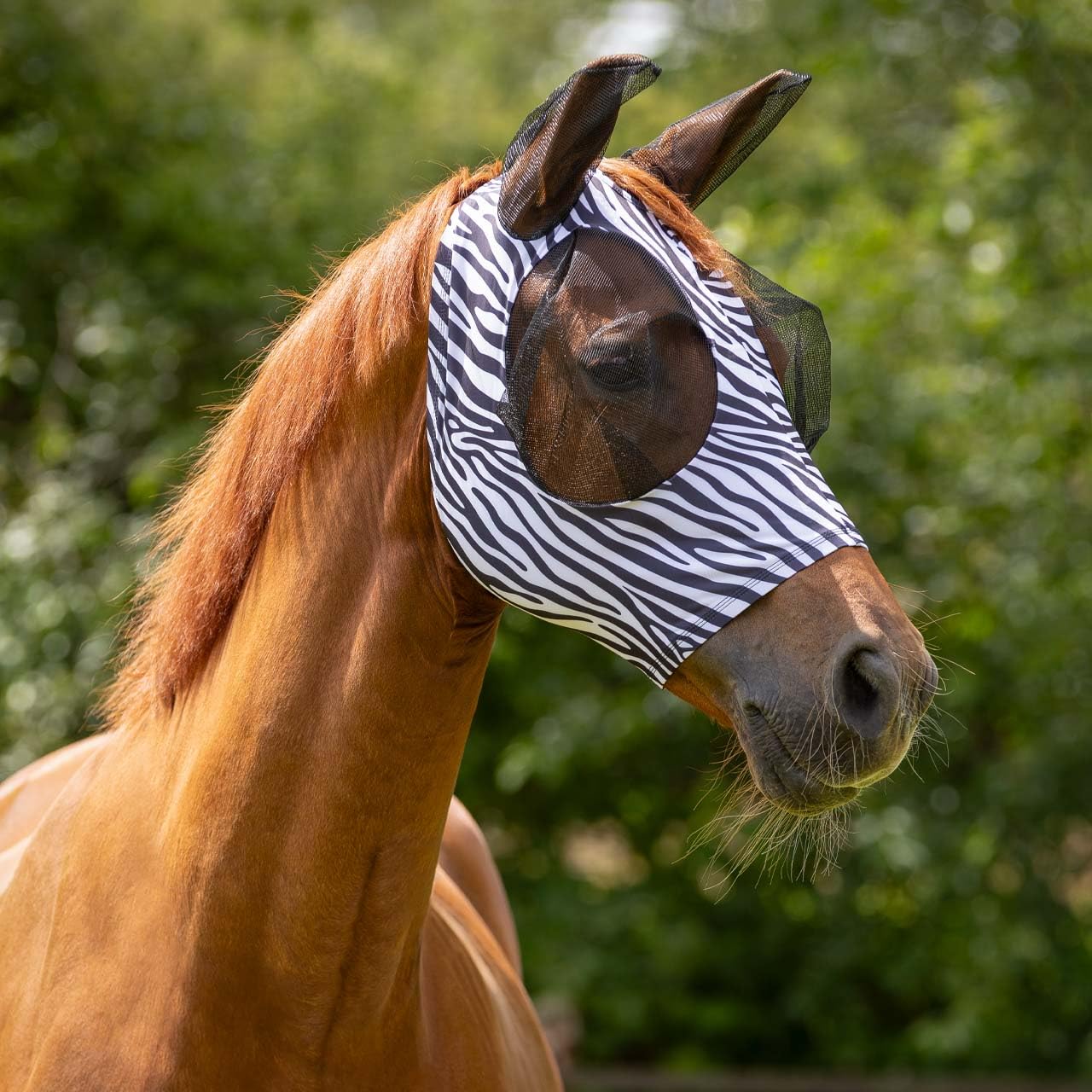 Horse Fly Mask with Mesh Ears, Elastic Fabric, Zipper Closure, Available in Navy, Pink Unicorn and Zebra Patterns (Zebra, Full)