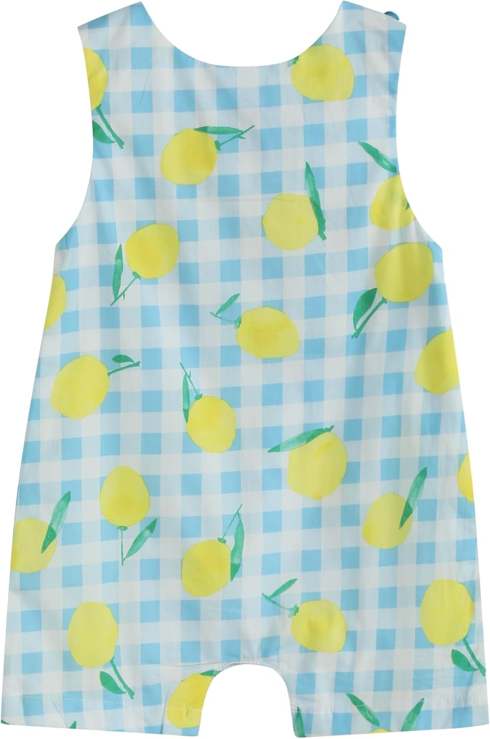 Lil cactus Boys Baby and Toddler Smocked Shortalls