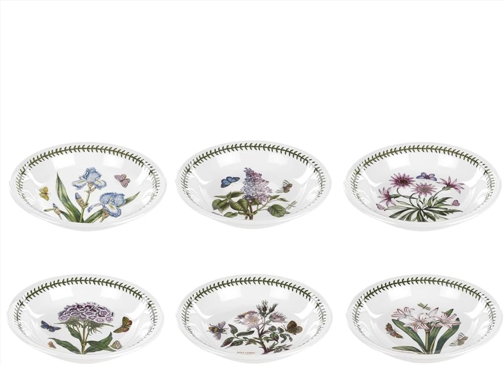 Portmeirion Botanic Garden Pasta Bowl | Set of 6 Bowls with
