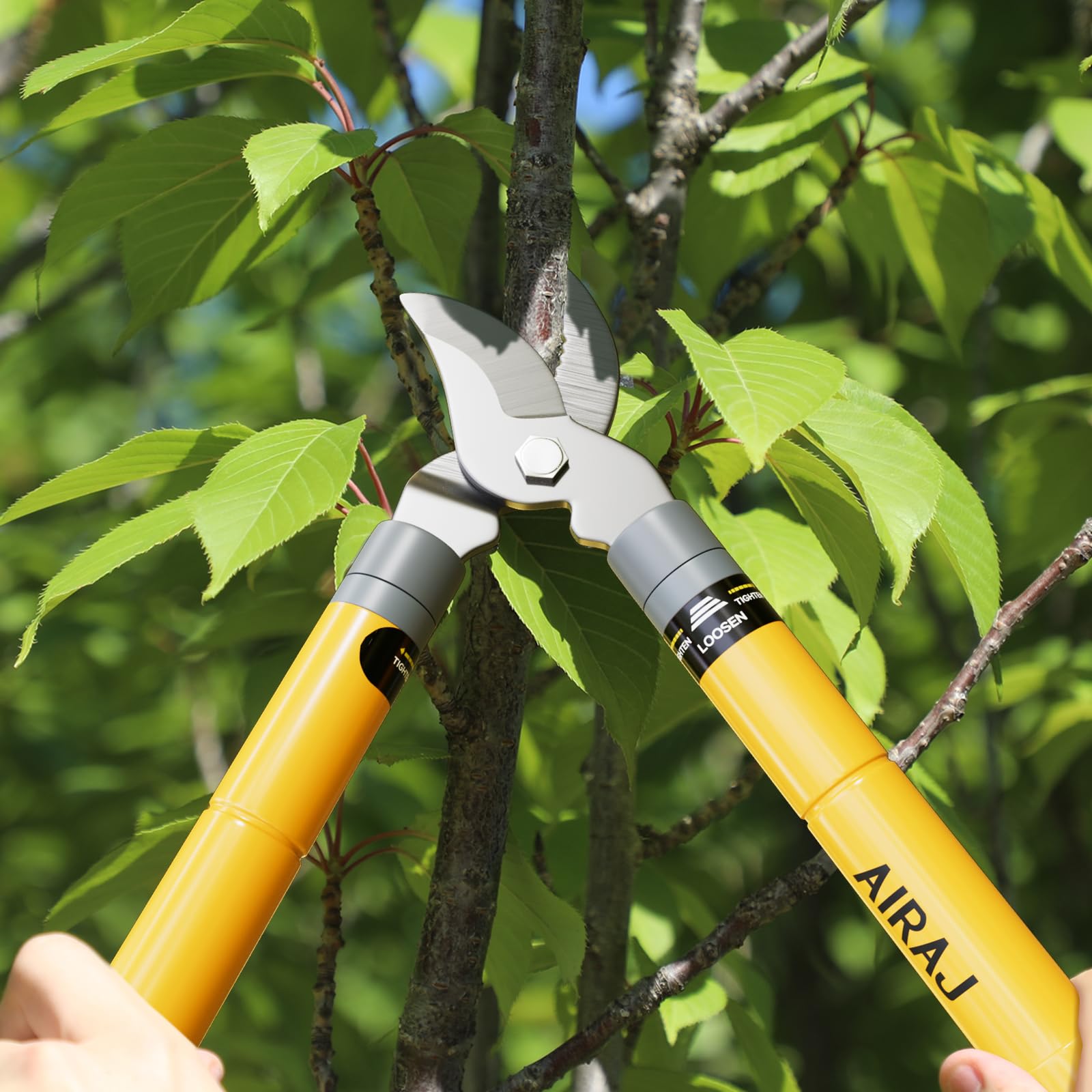 Coupe Branche AIRAJ,Coupe Branche Telescopique 42-61 CM,Lame Tranchante en Acier au Carbone SK5,Coupe Rapide,Coupez Facilement Les Branches (Jusqu'à 35 MM),Convient aux Branches Fraîches et Fanées