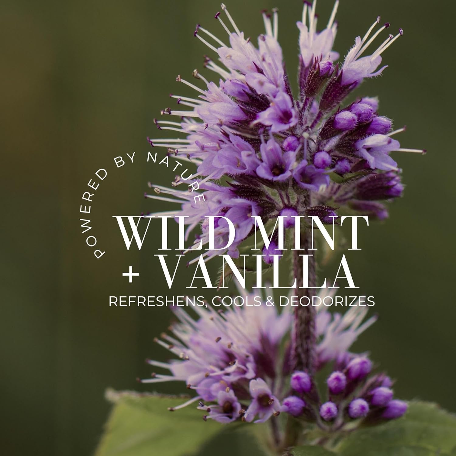 Fitglow Beauty Deodorant Spray + Refill | Natural Aluminum-Free Deodorant for Sensitive Skin | Long-Lasting Odor Protection with Plant Extracts | Non-Staining, Fresh Scent | 50ml + 120ml - Image 4