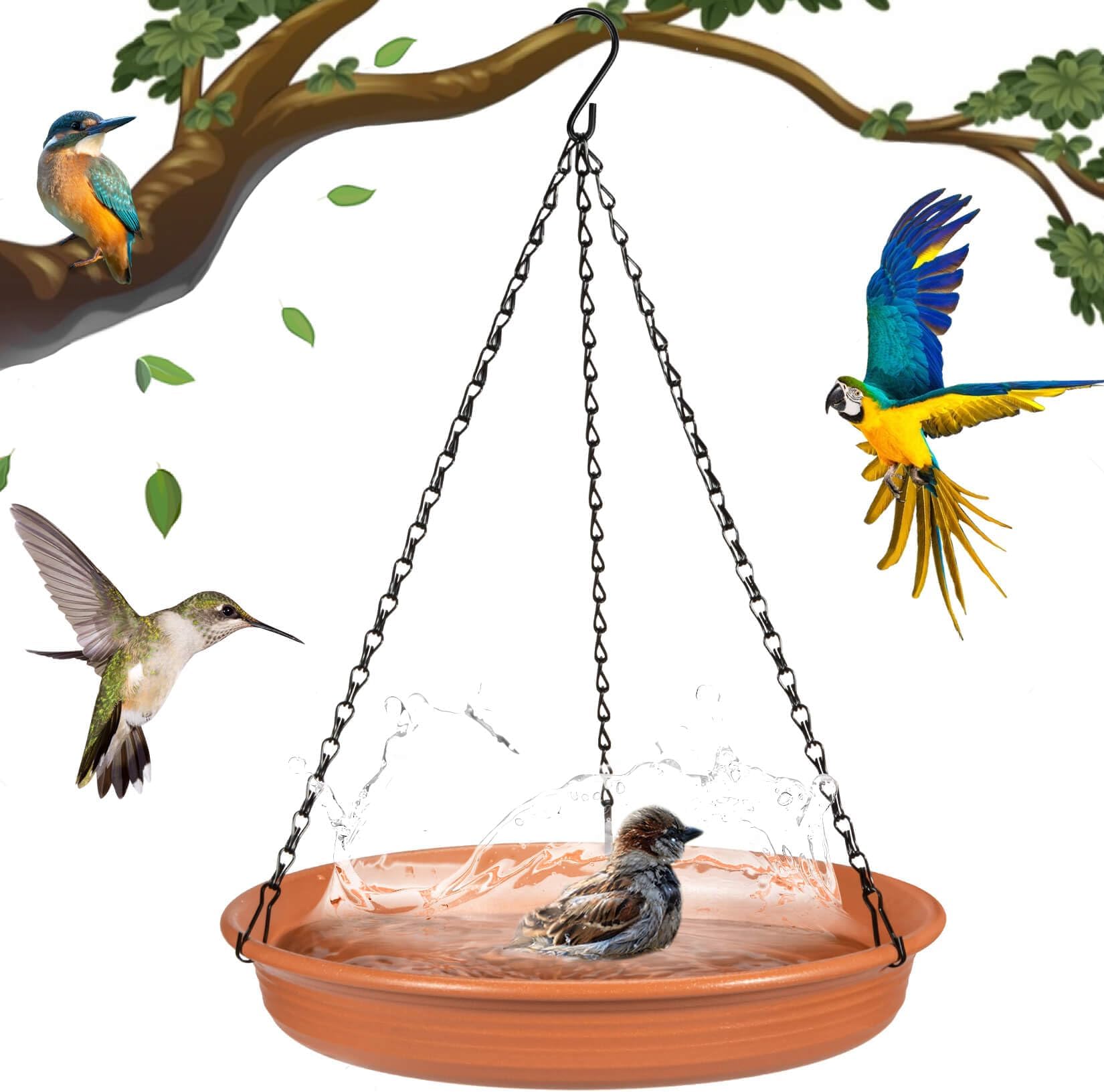 Amazon.com : Hanging Bird Bath, Bird Bath, Hanging Bird Feeder, Bird ...